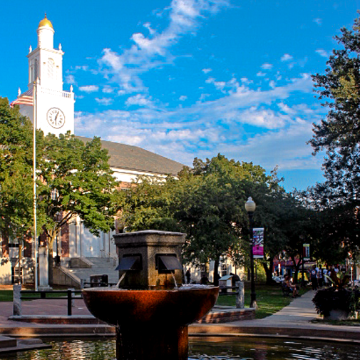 City Hall Park, Downtown Burlington