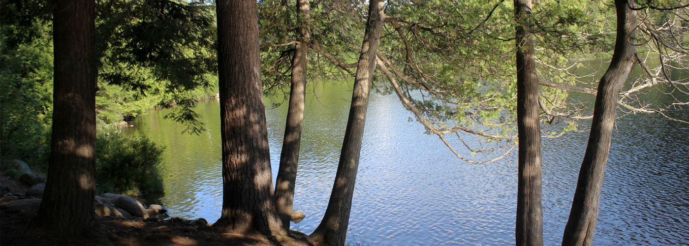 Chapel Pond Image