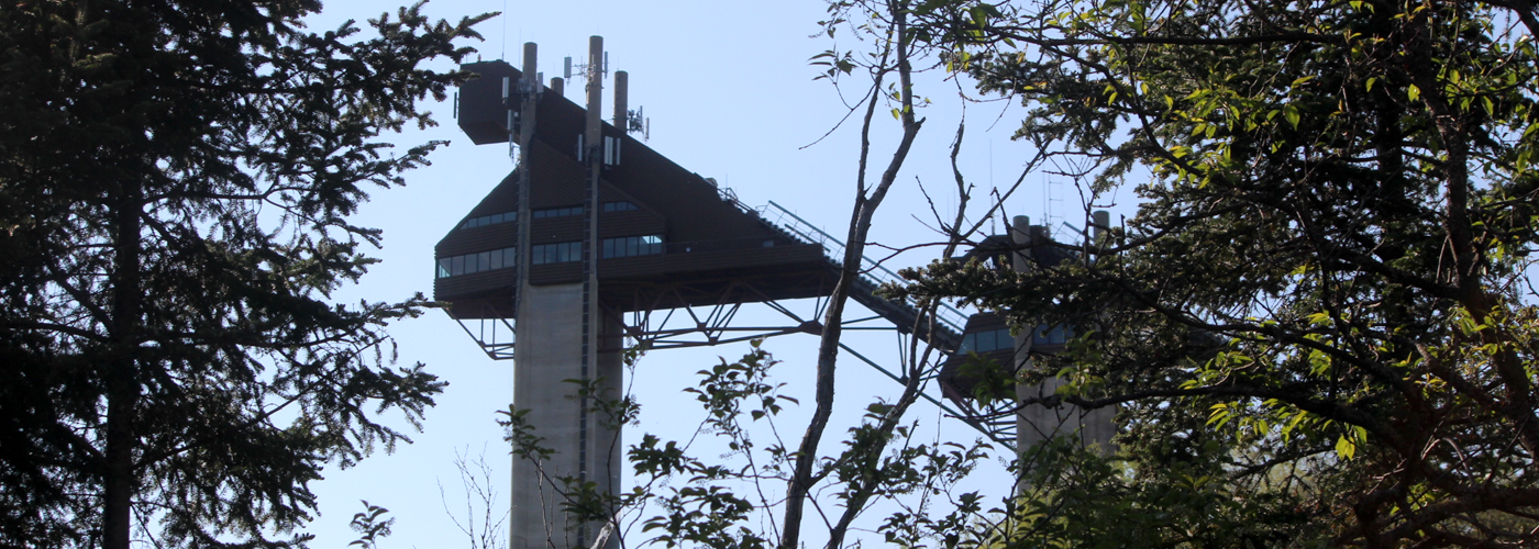 Ski Jumps With Trees Image