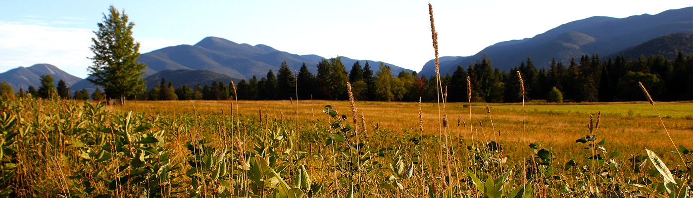 Adirondack Loj Rd Image