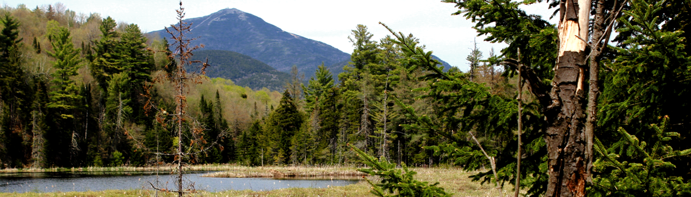 Ausable River and Whiteface Mountain Image