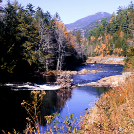 Image of Ausable River, Fall