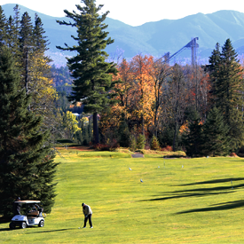 Image of Golfer, Lake Placid