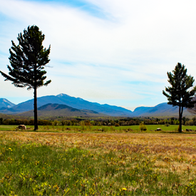 Image of Adirondack Loj Road, Spring