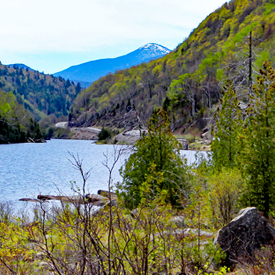 Image of Cascade Pass, Spring