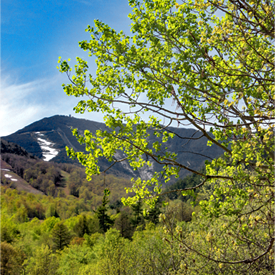 Image of Whiteface Mountain, Spring