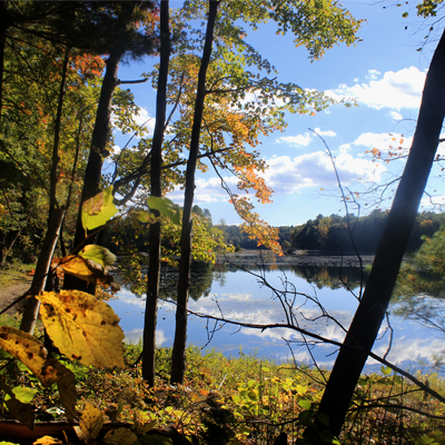 Overlooking Moreau Lake