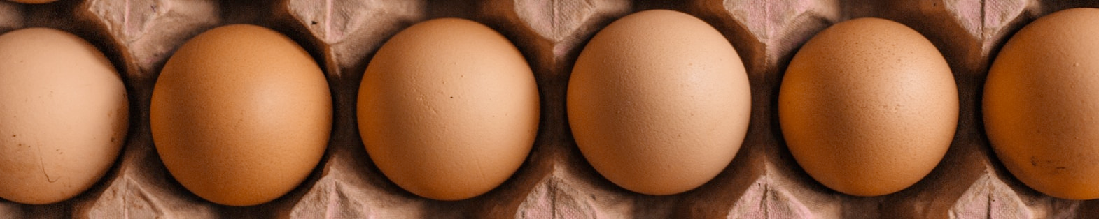 Dairy (Eggs) Image