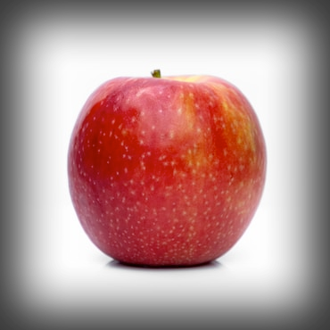 Organic Honeycrisp Apples Image