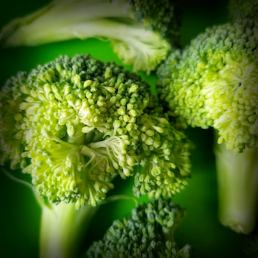 Frozen Organic Broccoli Image