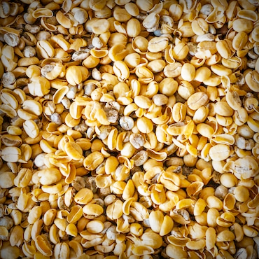 Hemp Seeds Image