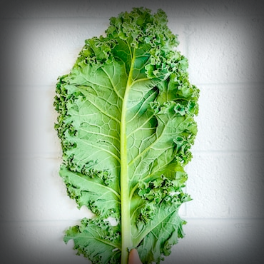 Sweet Kale Image