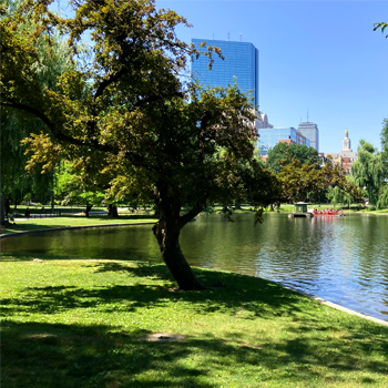 Image of Boston Gardens, Copley Square