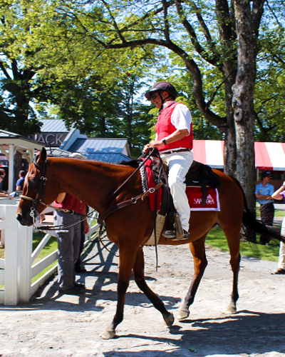 Jockey on Horse at Saratoga Race Course Image