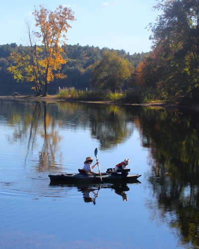 Kayaker on Moreau Lake Image