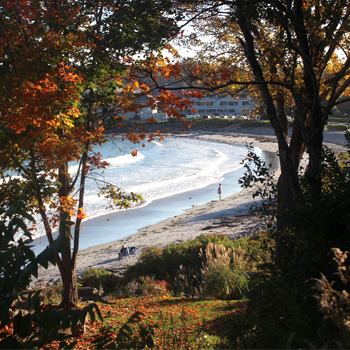 Image of York Harbor Beach, York Harbor, ME